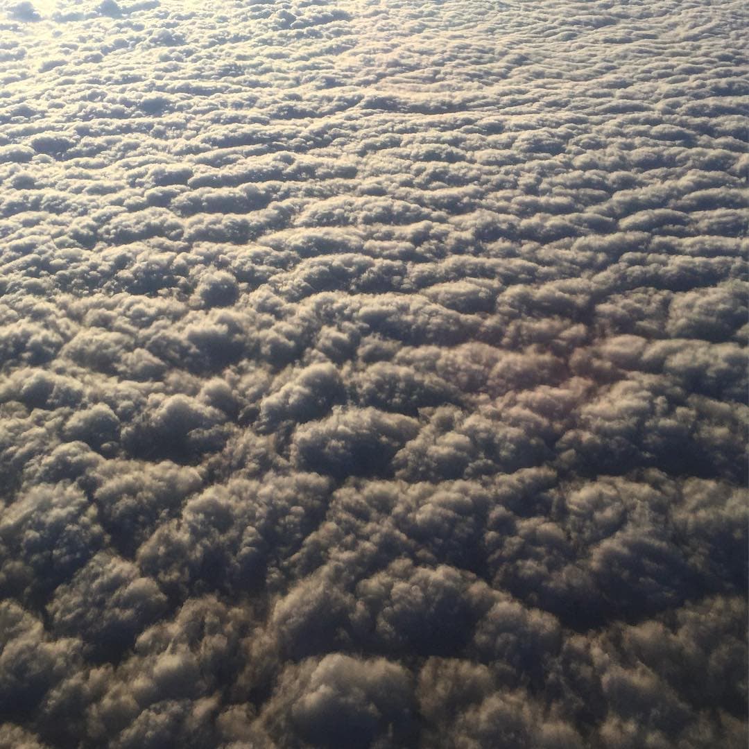 Cloud picture of lots of broccoli looking clouds