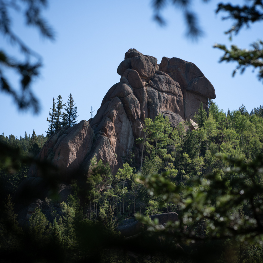 An dramatic rounded rock formation protrudes from the mountain thru the trees