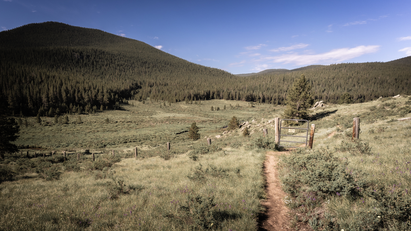 Trail extends from bottom of photo crop to a gate on a fence extended past the side of the crop, in the background an expanse of Colorado pointy evergreen trees