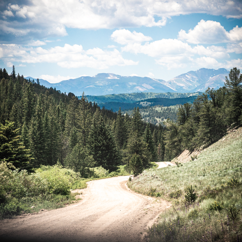 A road weaves thru a Rocky mountain landscape with confer trees in the middleground