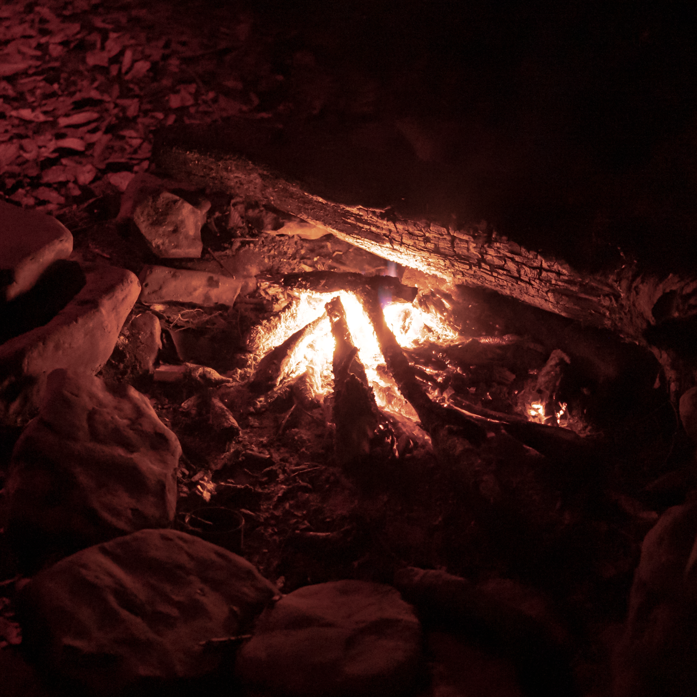 Closeup of a camp fire